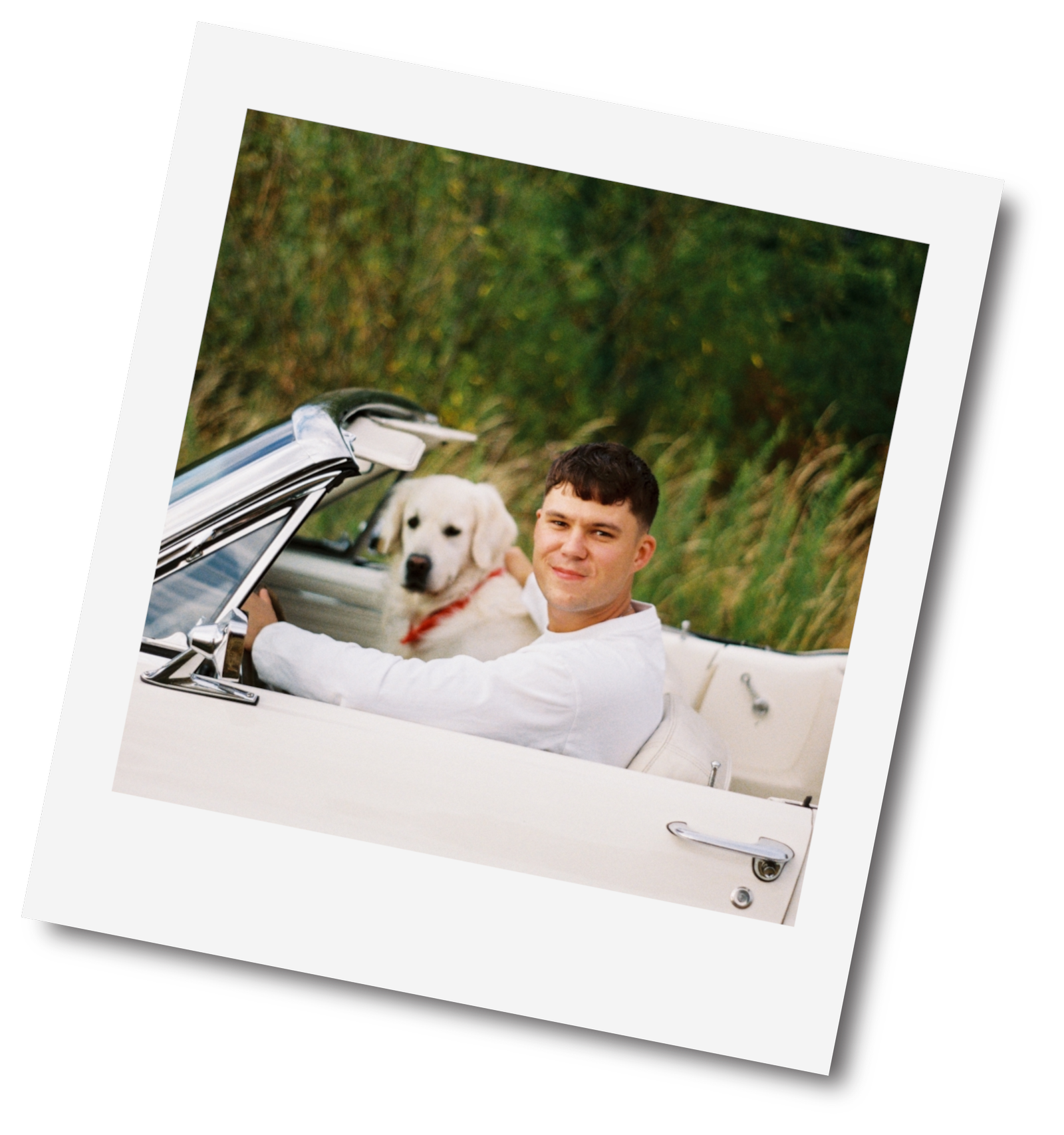 Portrait von Ivan Thieme